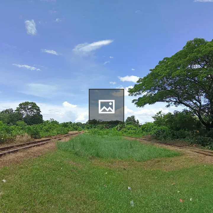 Disused railroad tracks with greenery