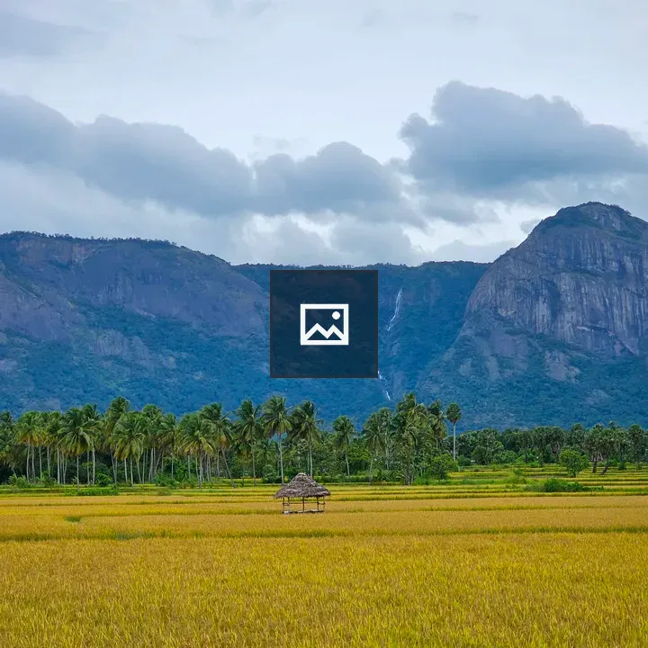 Hut among Rice Fields and Mountain
