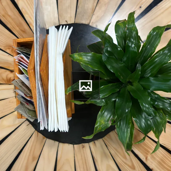 Top-Down Table with Plant and Menus
