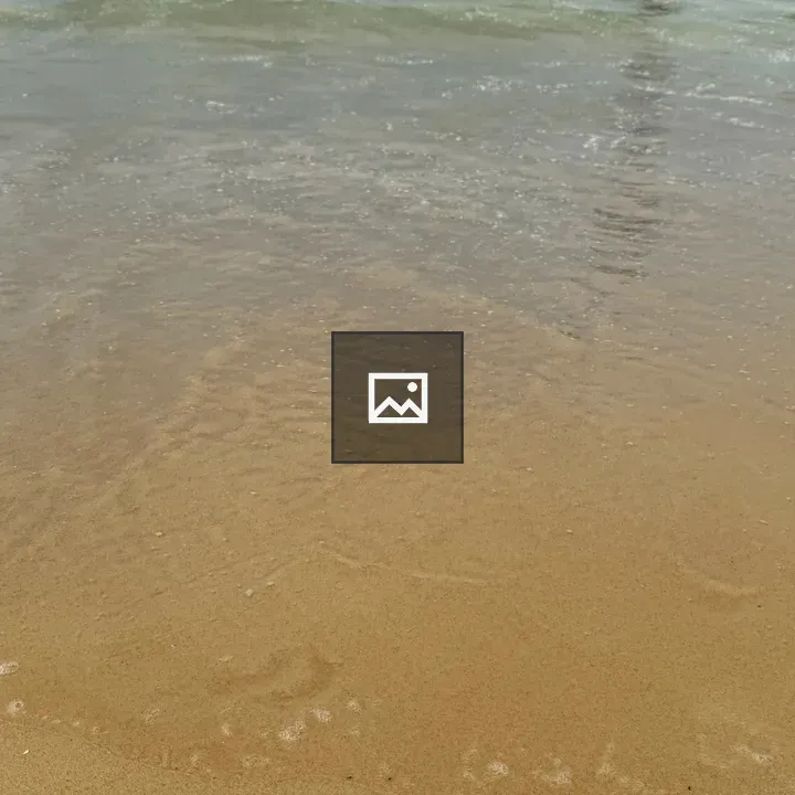 Close-up Beach Shore