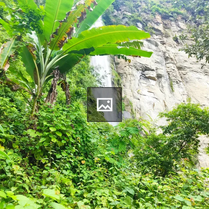Waterfall In Tropical Jungle
