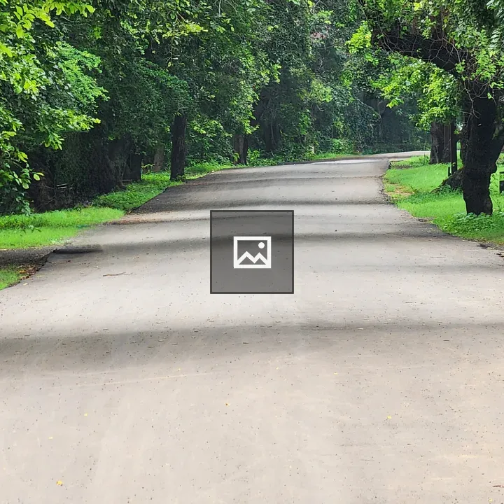 Jungle road with trees