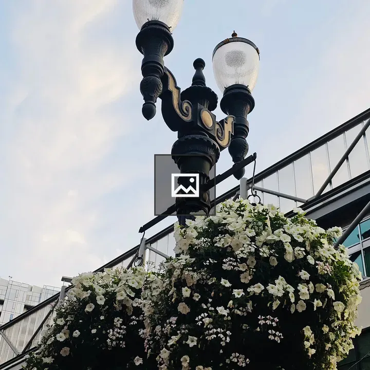 Black iron street lamp with flower baskets