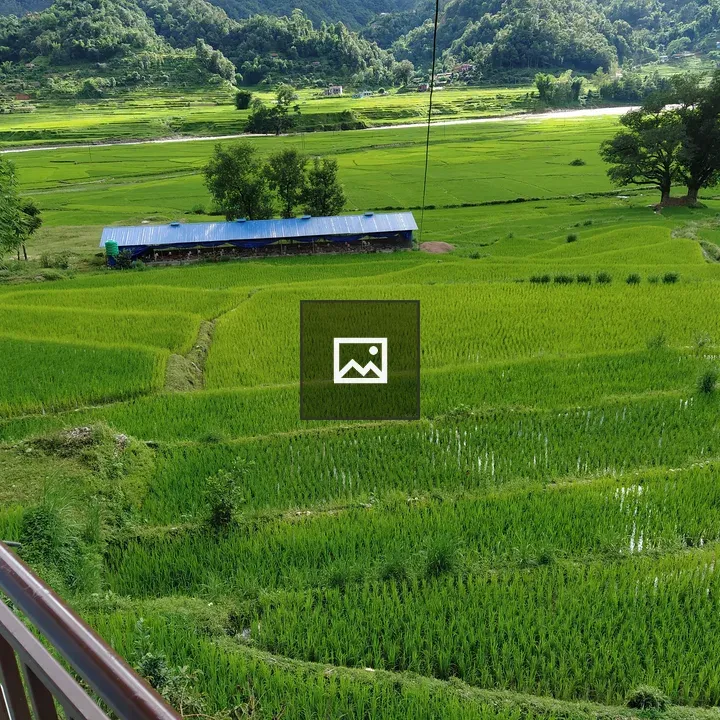 Panoramic Rice Terraces with Blue Roof