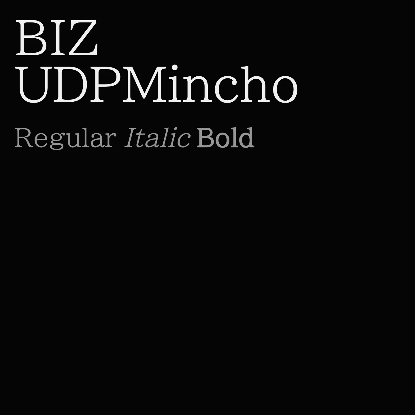 BIZ UDPMincho