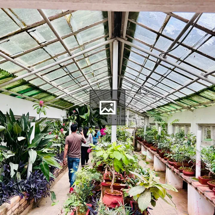Greenhouse Houseplant