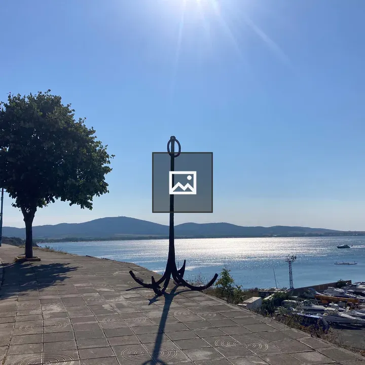Shoreline with Anchor and Tree