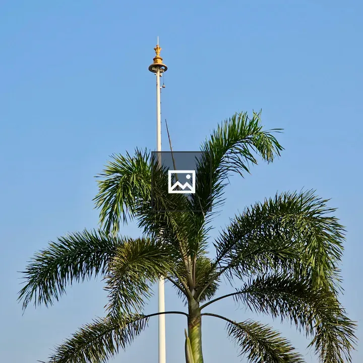 Flagpole and Palm Tree in Bandra West