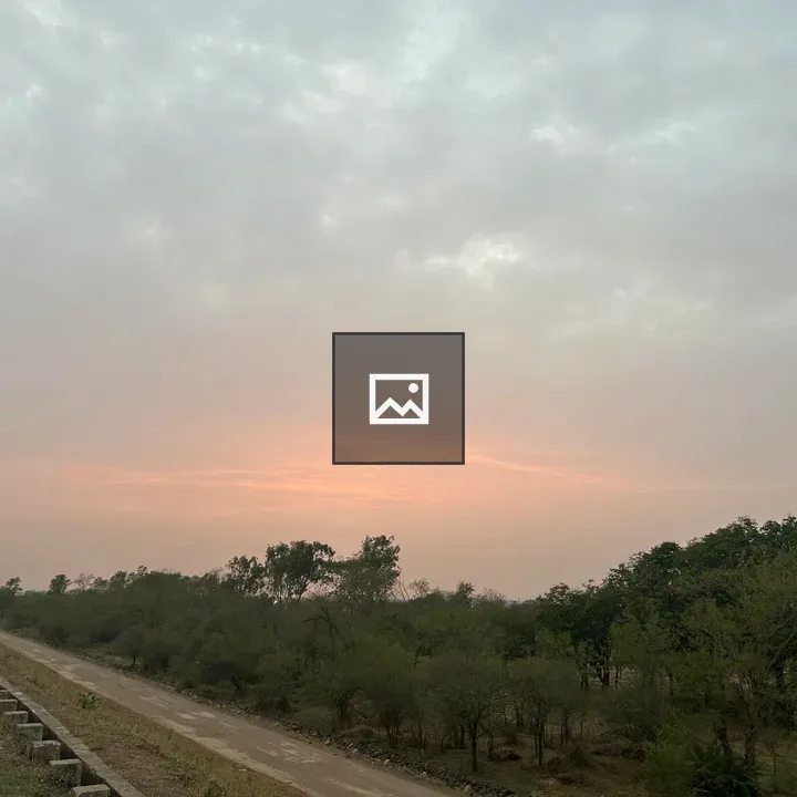Sunset Road with Trees