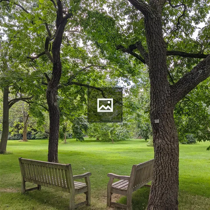 Two wooden benches under trees