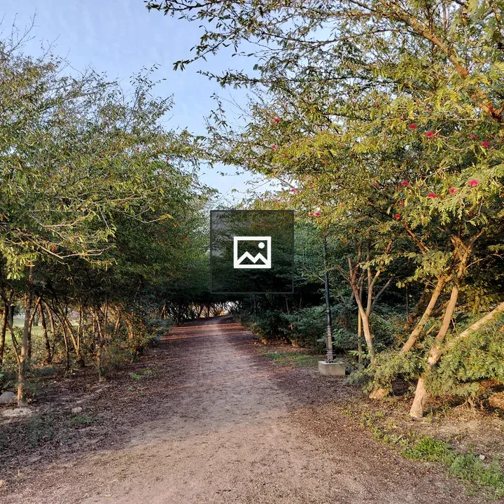 Peaceful path through trees