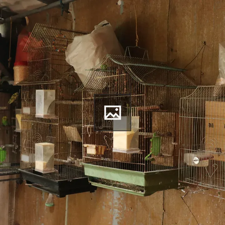Row of Metal Birdcages Against Wood