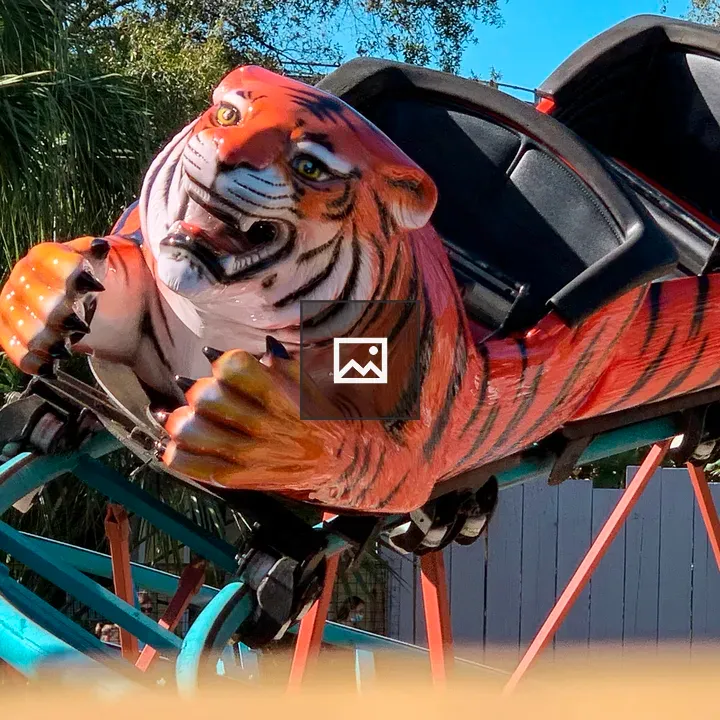 Tiger roller coaster