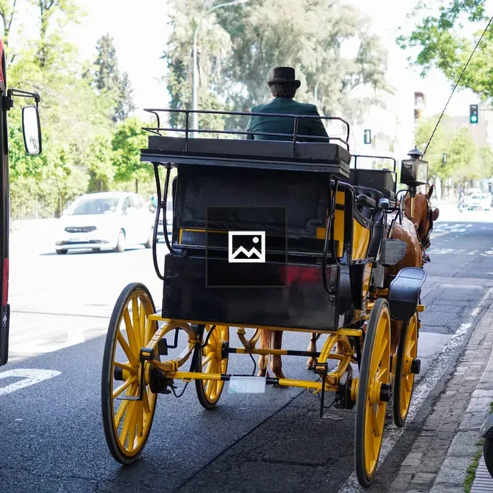 Horse-drawn carriage on city street
