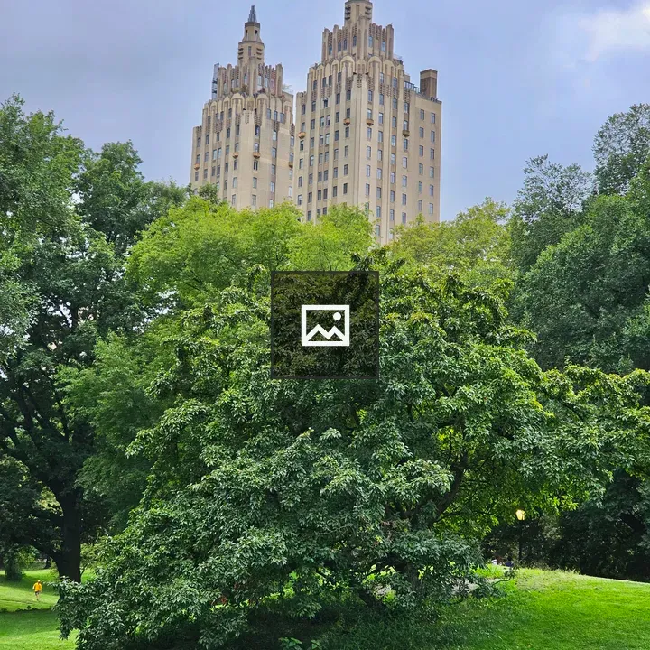 El Dorado building in Central Park area