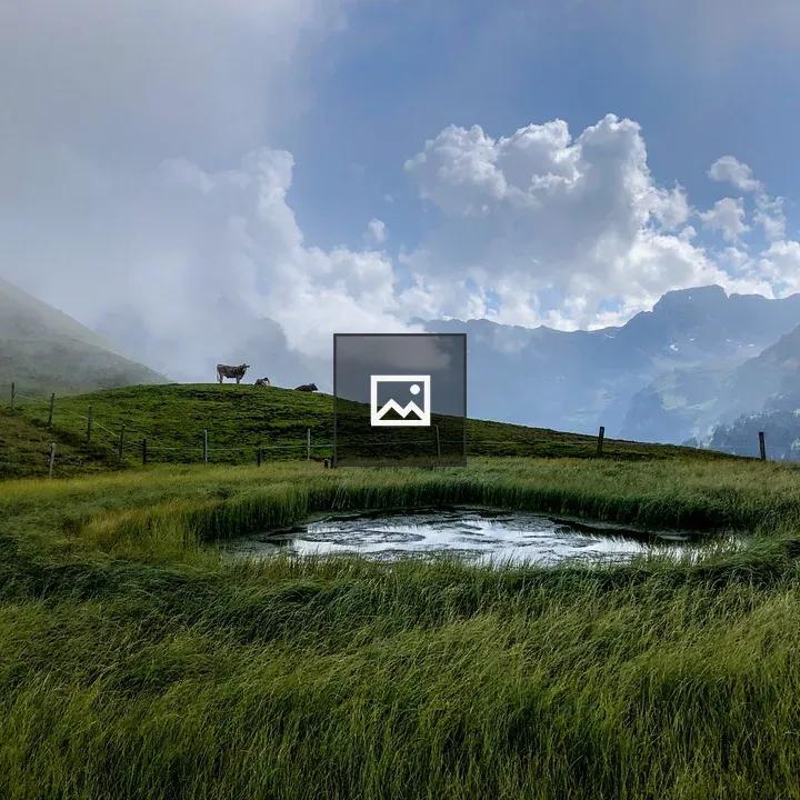Cows by Pond in Swiss Alps