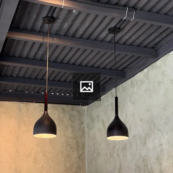 Two black pendant lights