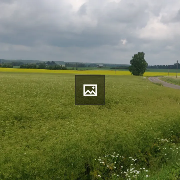 Field and Dirt Road View