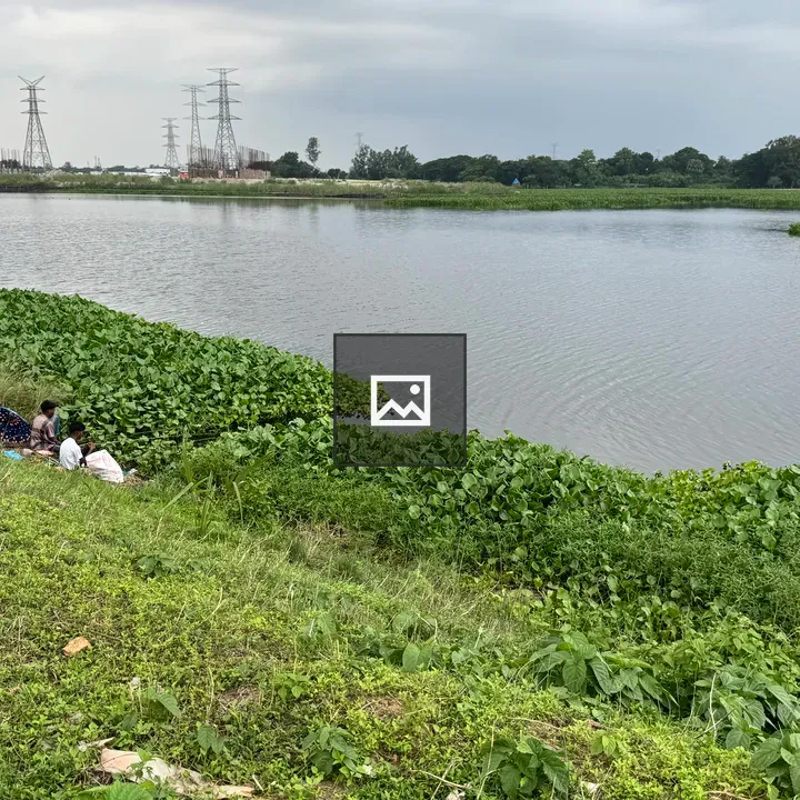 People fishing at riverbank