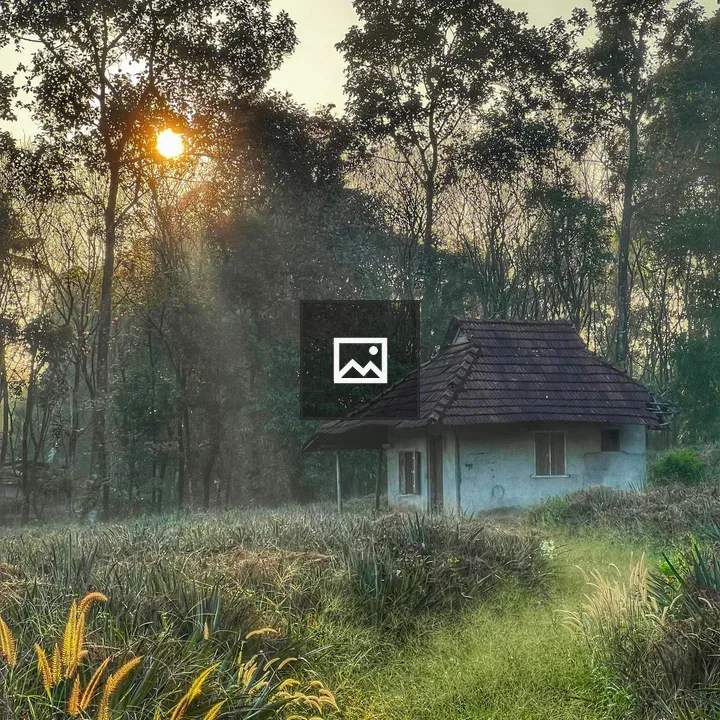 Small house in grassy field at sunrise