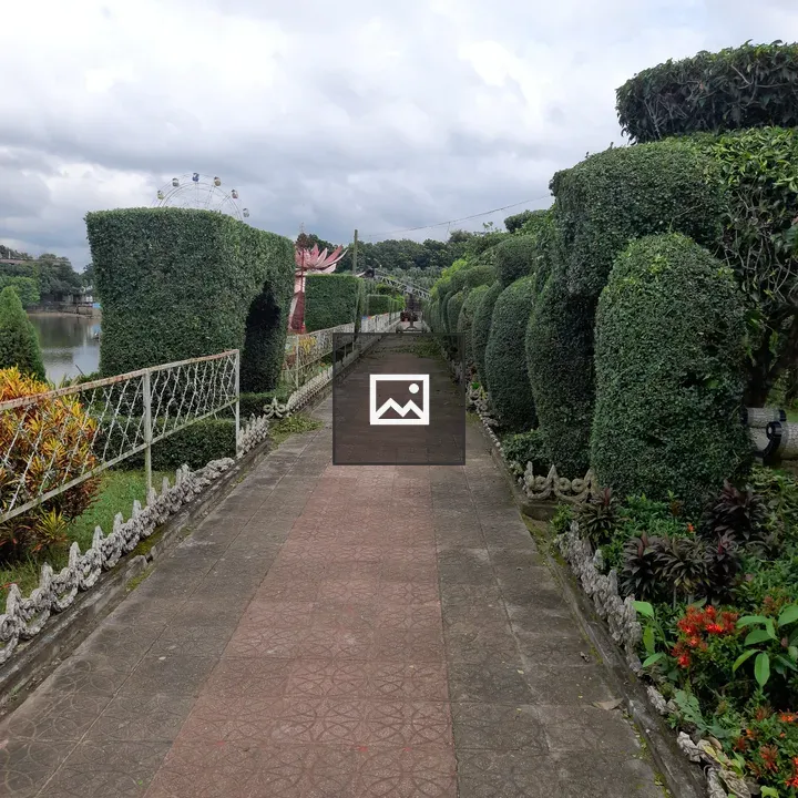 Stone path with topiary trees