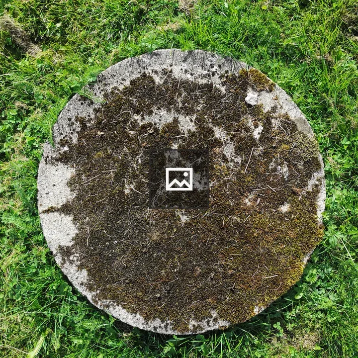 Moss, Grass and Stone Circle