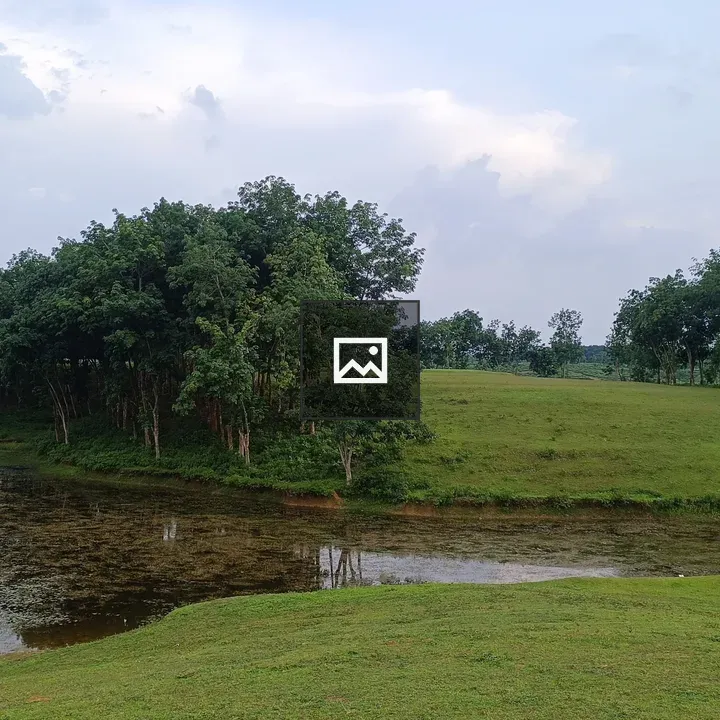 Grassy landscape with pond