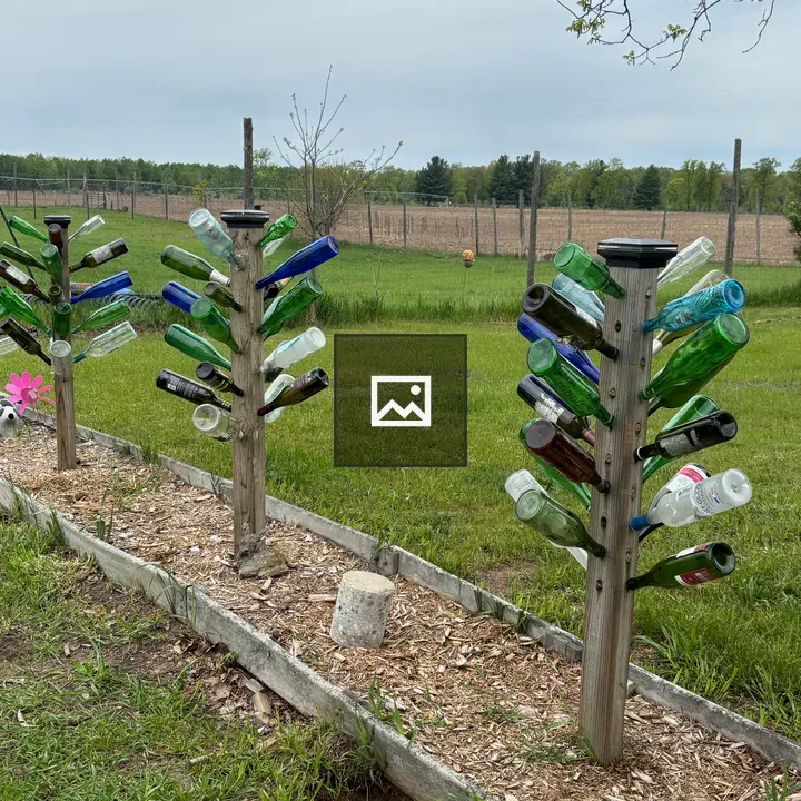 Bottle trees row