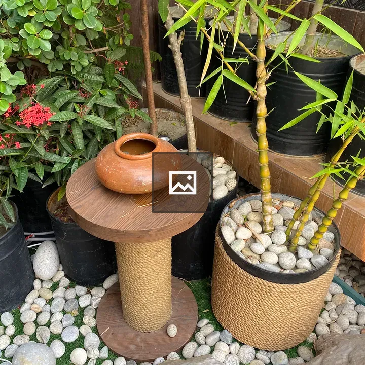 Wooden table with clay pot and plants