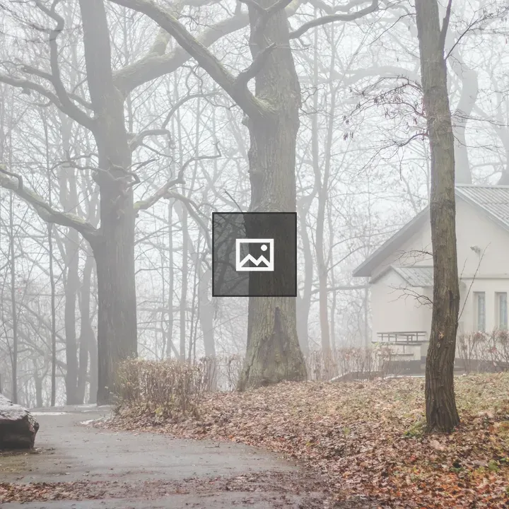 Small house in misty park