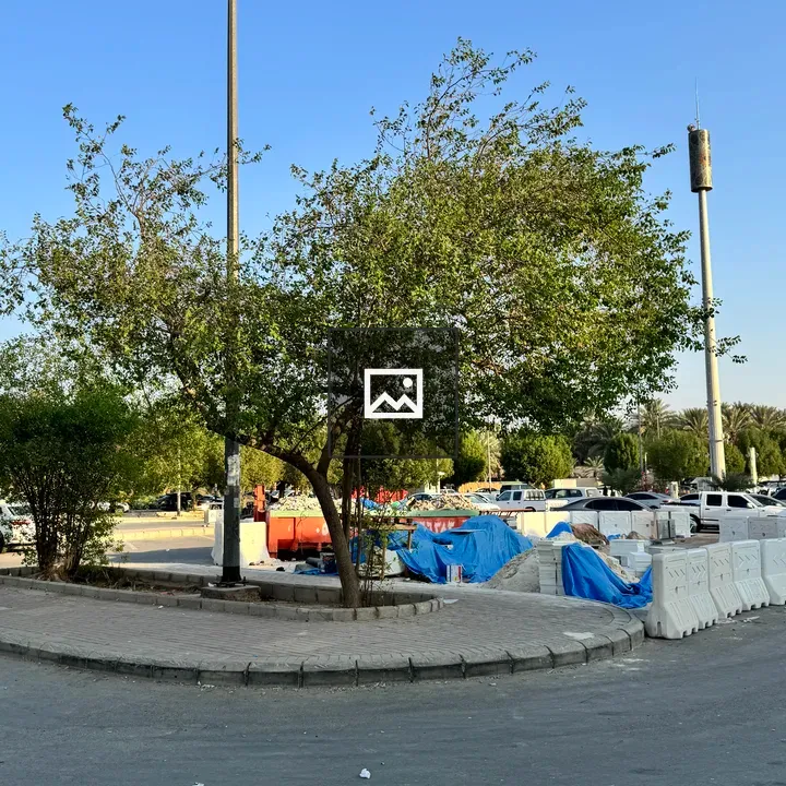 Roundabout with Tree and Streetlight