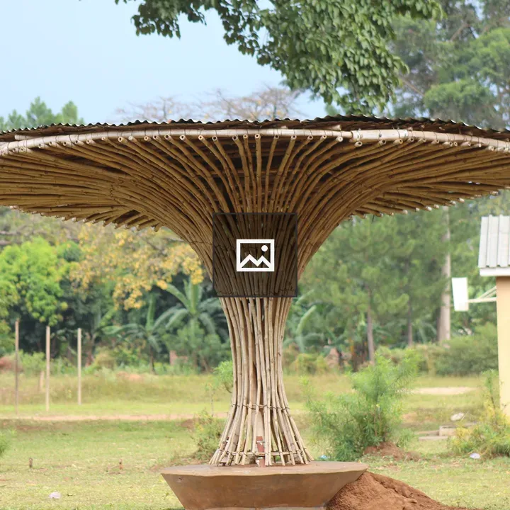Mushroom shaped shade in Kaliro