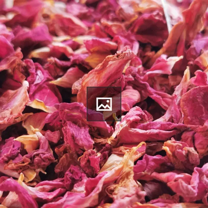 Rose petals on nature scene