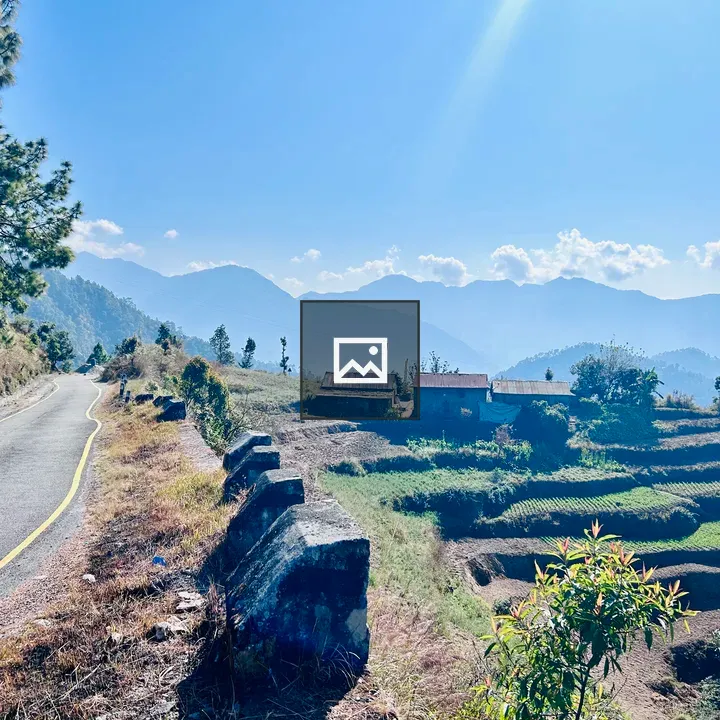 Bright blue sky and road view