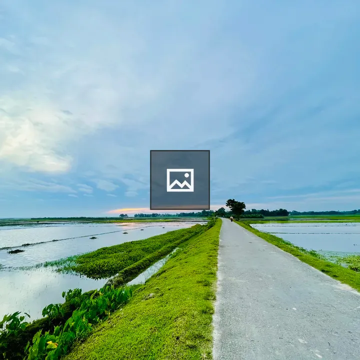 A road through flooded paddies