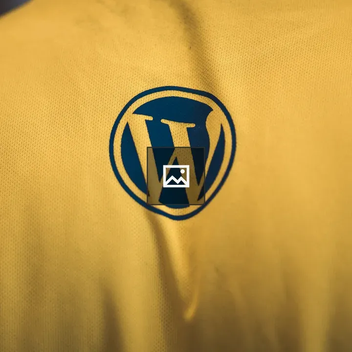 WordPress Logo on T-shirt