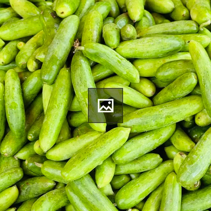 Close-up of cucumbers