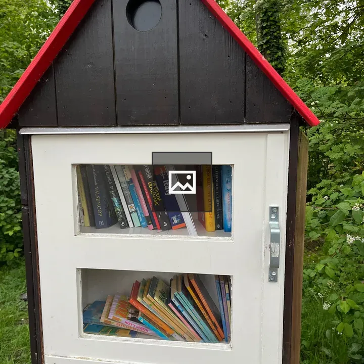 Outdoors library in the forest