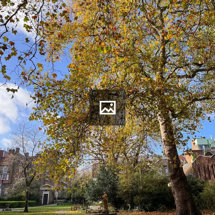 Autumn Noon at Saint George's Gardens