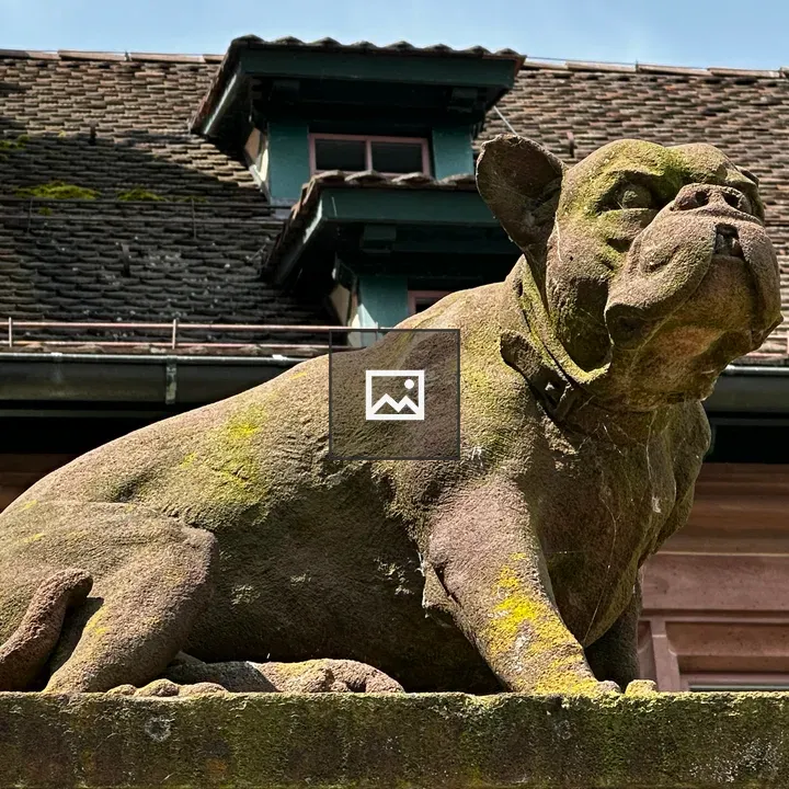 Dog statue on wall near church