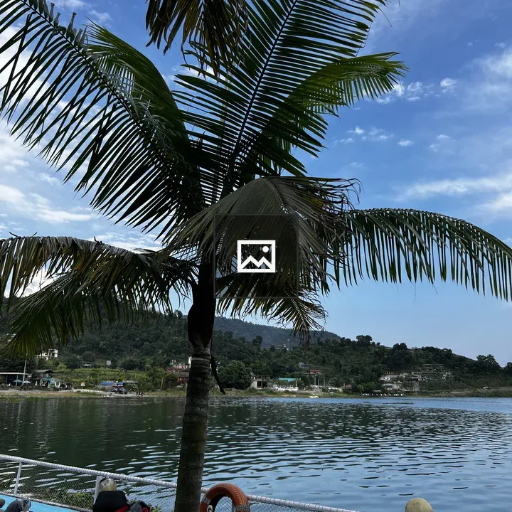 Palm Tree by Lake