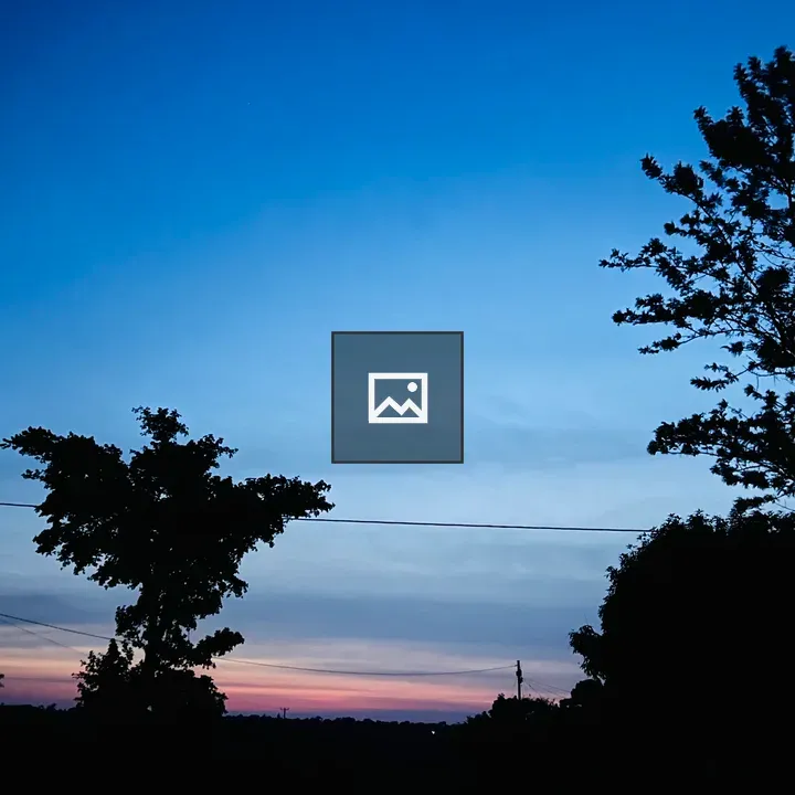 Evening Sky with Silhouetted Trees