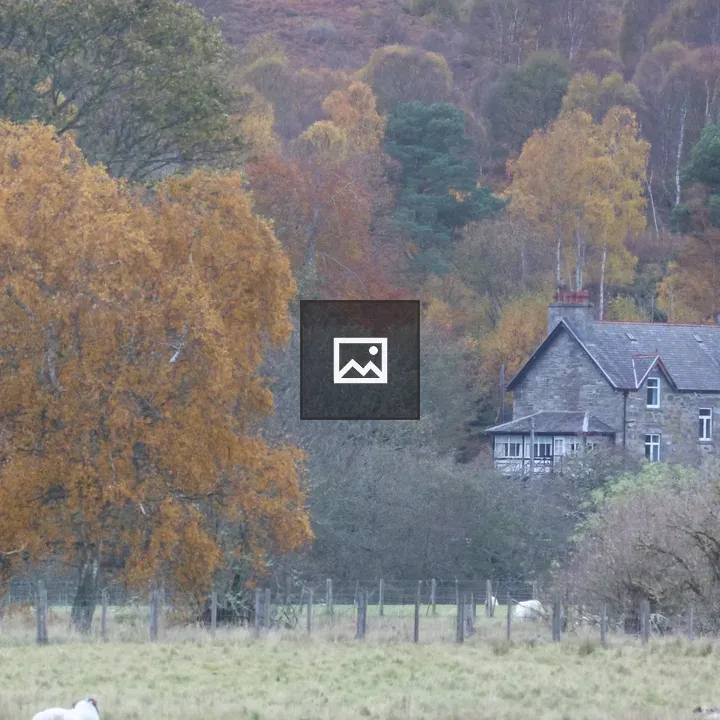 Vista from fields to autumn trees and house