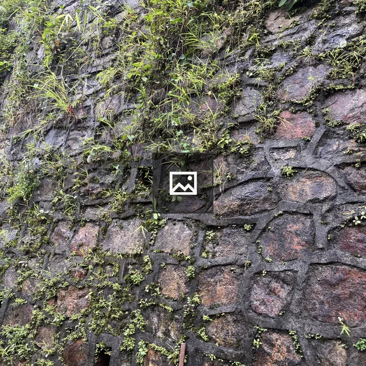 Vertical Stone Wall with Greenery