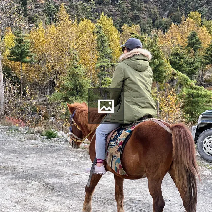 Horse and rider on a dirt path