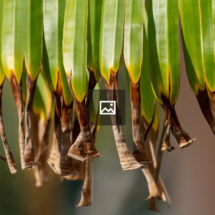 Winter-ready Plant Scene