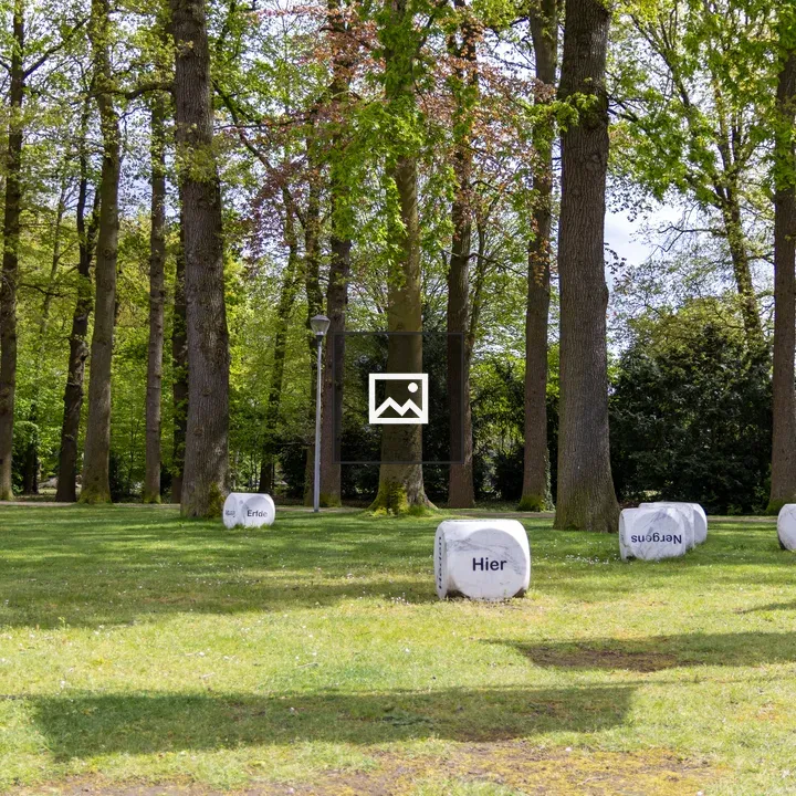 Cubes with Dutch Words in Grass