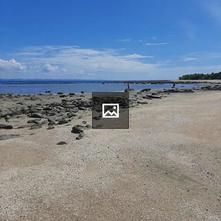 Beach scene with fishermen along shore