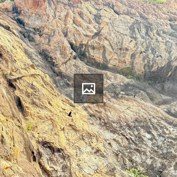 Cliff with Birds and Wall