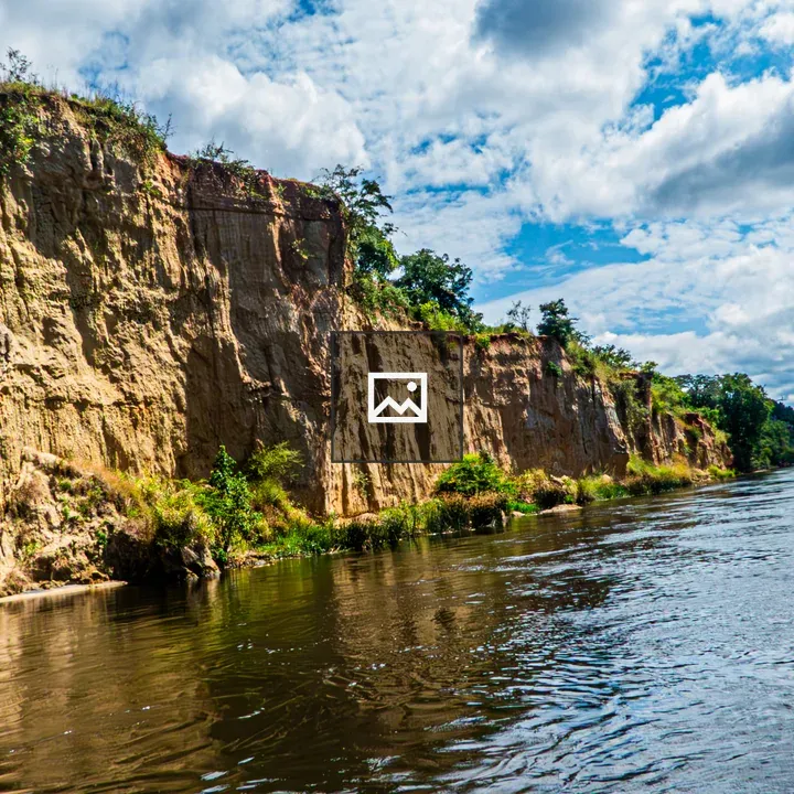 Riverbank along the Nile